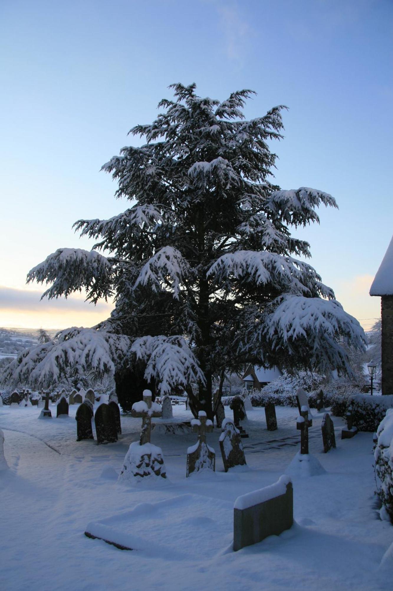 Bed and Breakfast The Belfry At Yarcombe Екстер'єр фото